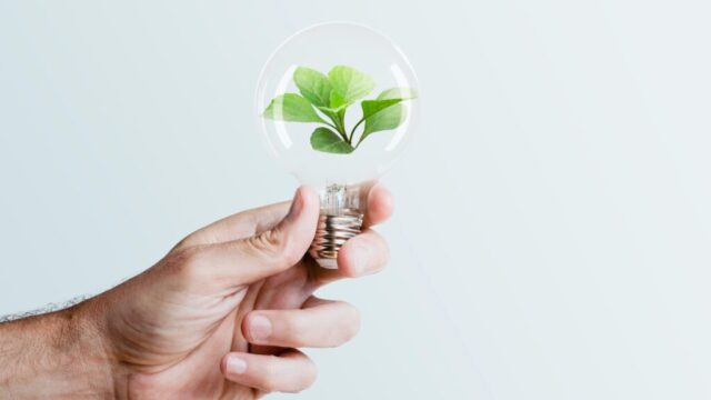 Biomass Energy: Converting Organic Matter to Clean Power | EO Energy